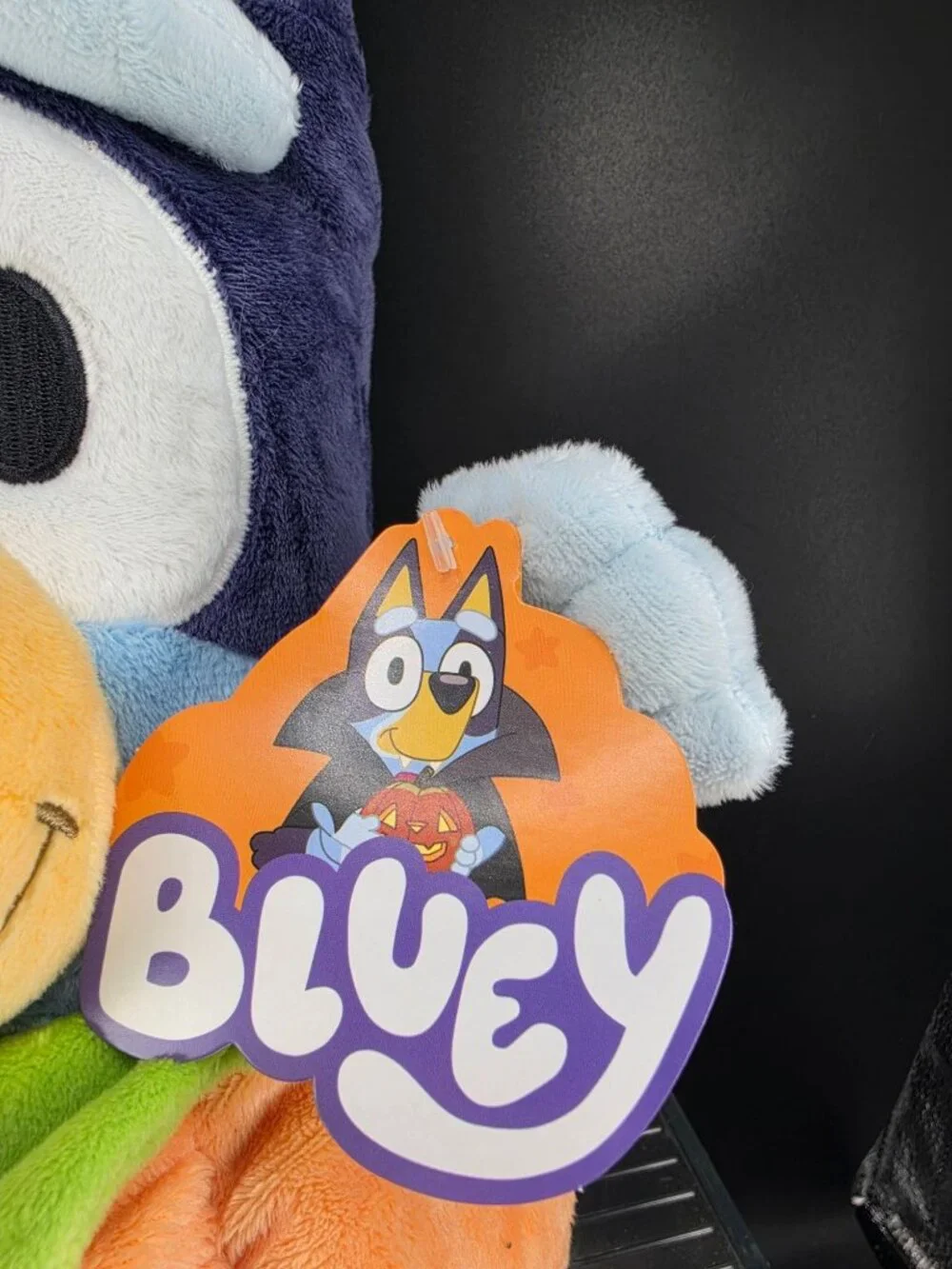 Bluey Halloween Plush Pumpkin Costume 12